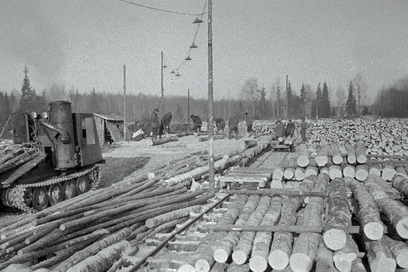 Metsatööd Tartu rajooni Laeva metsapunktis.