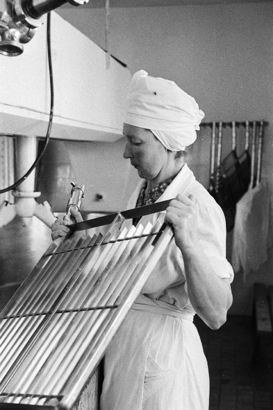 Rakvere Piimakombinaadi Vihula tsehhi võimeister Roosvee.