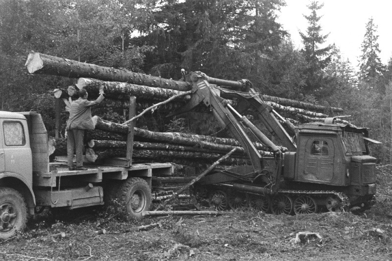 Tüvelaadur Rakvere Metsakombinaadi Tudu metsapunkti raielangil.