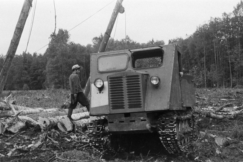 Võru Metsakombinaadi Veriora metsapunkti raielangil.