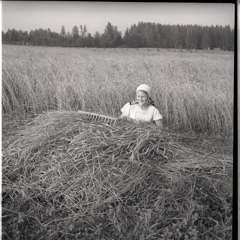 Portree: Ingrid Millistfer viljapõllul