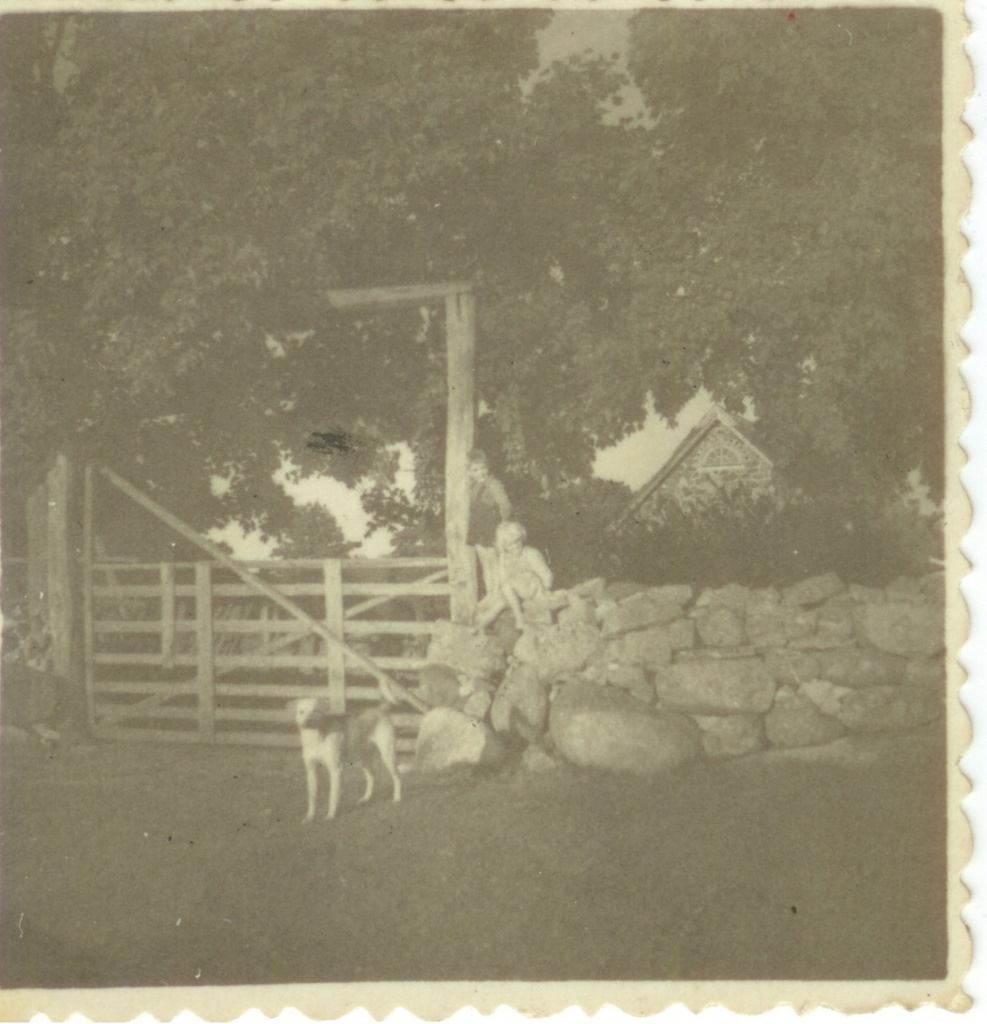 Koguva Välja värav