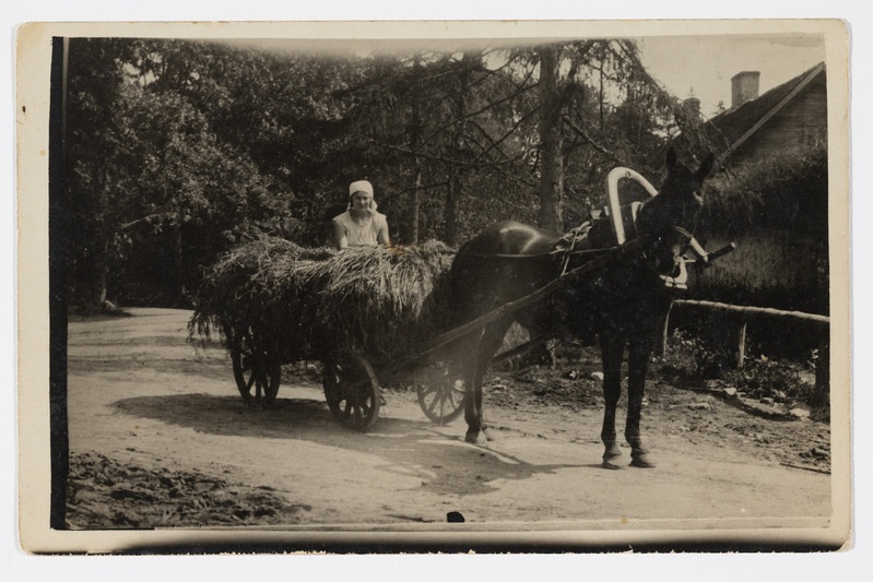 Hobusega heinakoormat vedamas 1931. a.