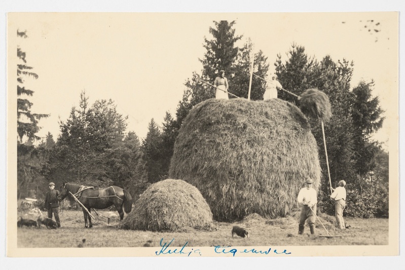 Heinakuhja tegemine