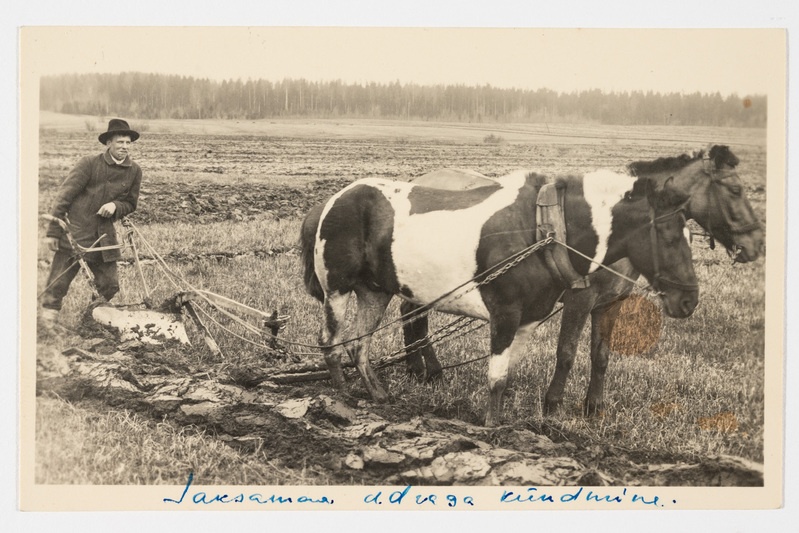 Adraga kündmine Saksamaal. Kevadkünd 1910. a.?
