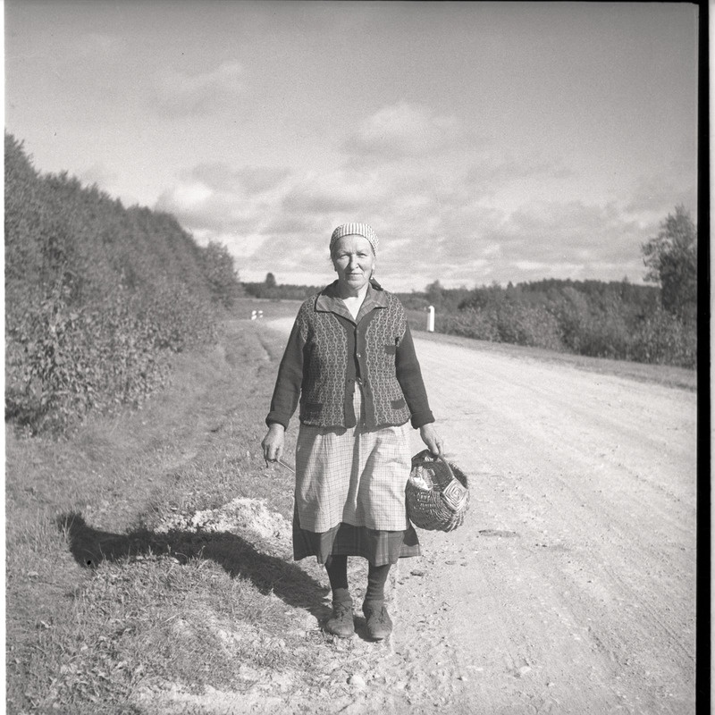 Portree: Meeta Saar korviga maanteel