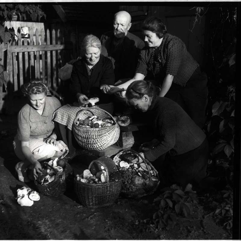 Grupipilt: Lydia Triefeldt, Meeta Saar, Aleksander Martin Saar, Amalie Charlotte Sarap, Johanna Triefeldt seenekorvidega