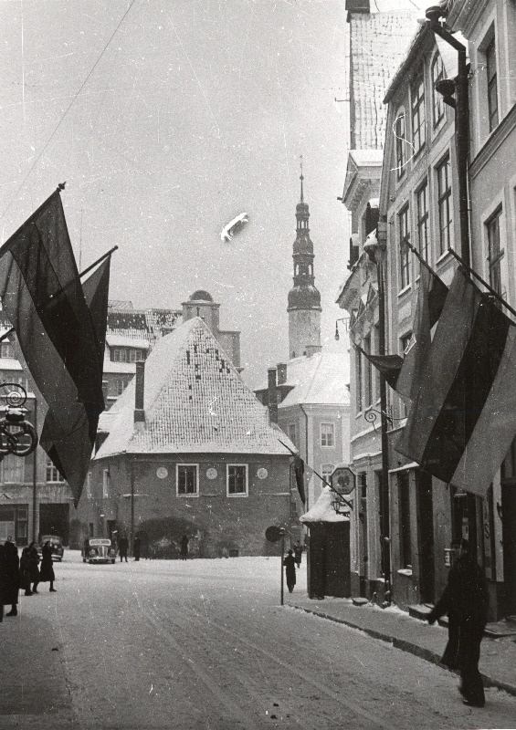 Tallinn lipuehtes uue põhiseaduse jõustumise puhul.