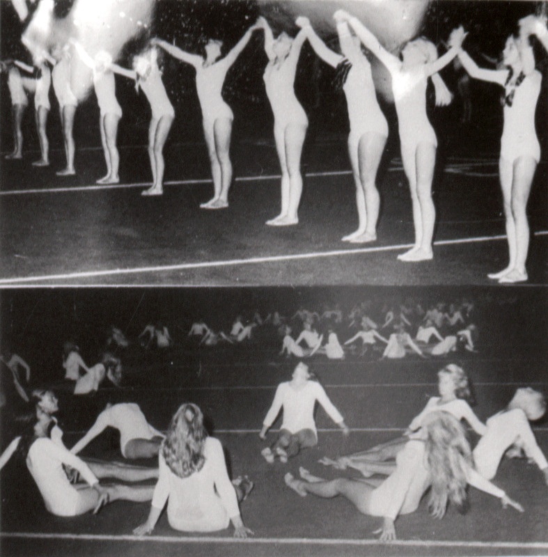 ESTO (ülemaailmsed eesti kultuuripäevad) Torontos.Fotomontaaž võimlejatest.