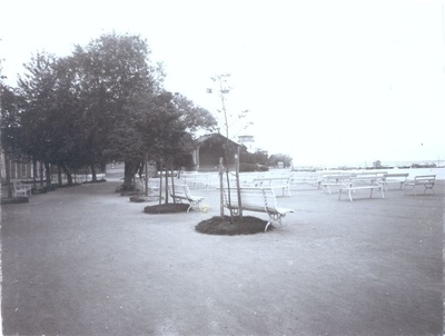 Foto. Haapsalu Suur Promenaad. Esiplaanil äsja istutatud puud, hulk istepinke kõlakoja esisel. u 1900.  duplicate photo