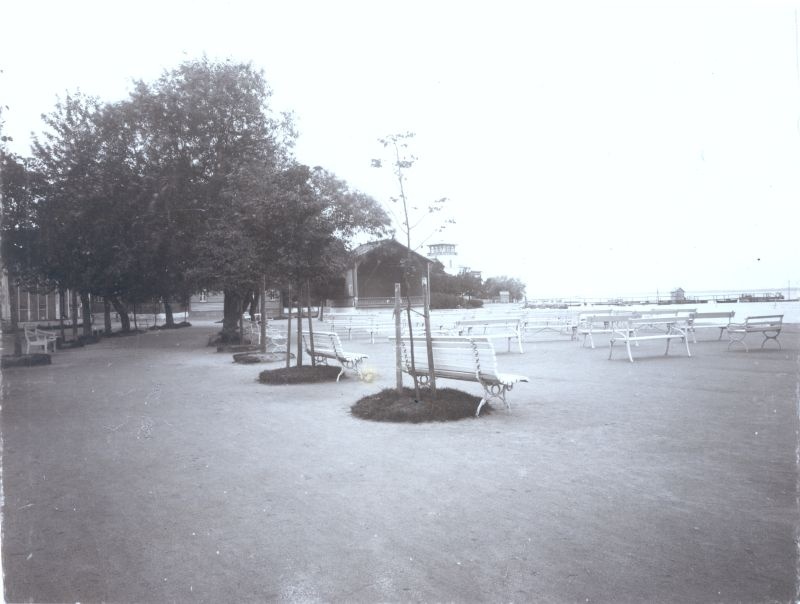 Foto. Haapsalu Suur Promenaad. Esiplaanil äsja istutatud puud, hulk istepinke kõlakoja esisel. u 1900.