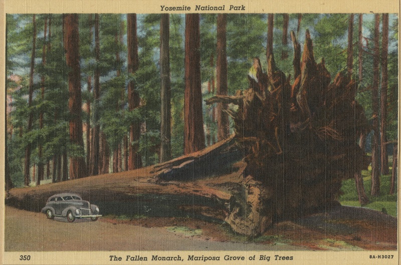 Yosemite rahvuspark, fotopostkaart