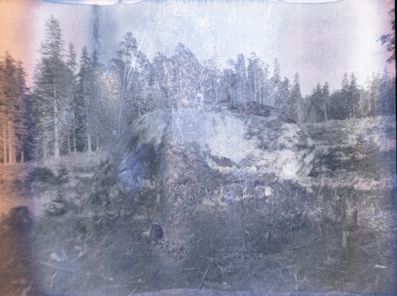 Kivi Mägipää küla metsas.