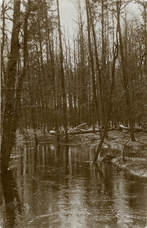 Suuremõisa park.
