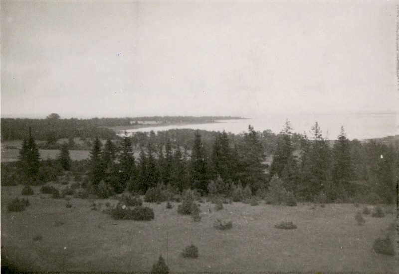 Vaade Kuri õigeusu kiriku katuselt kadakasele karjamaale ja Kuri lahele.