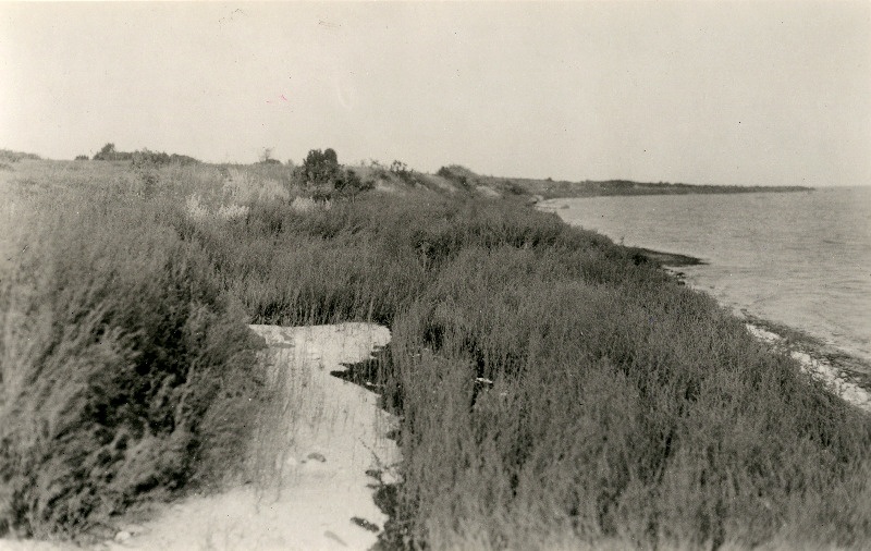 Rannamaastik Tareste ja Lehtma vahel..