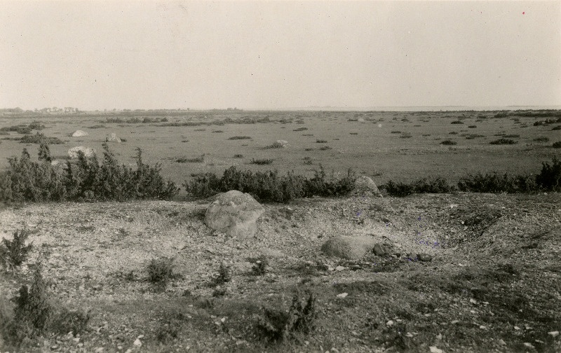 Kadakane rannalagendik Vallipää küla juures.