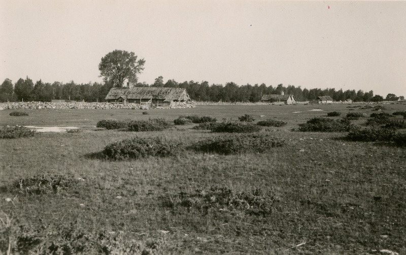 Vaade Vallipää külale üle kadakase karjamaa.