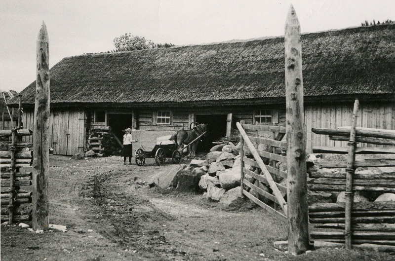 Taluõu Hullo külas.
