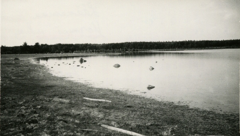 Prestviiki järve looderannik.