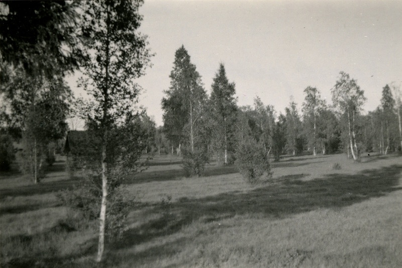 Kaskede puisniit Rälby külast loodes.