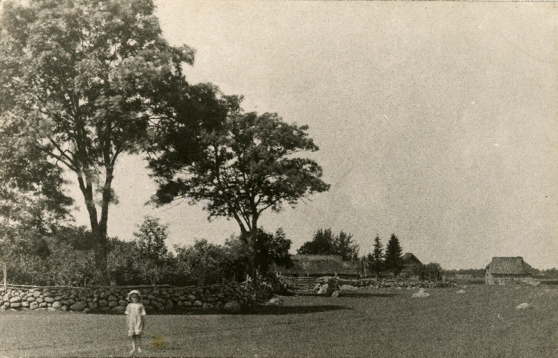 Vaade talule Lihula vallas.