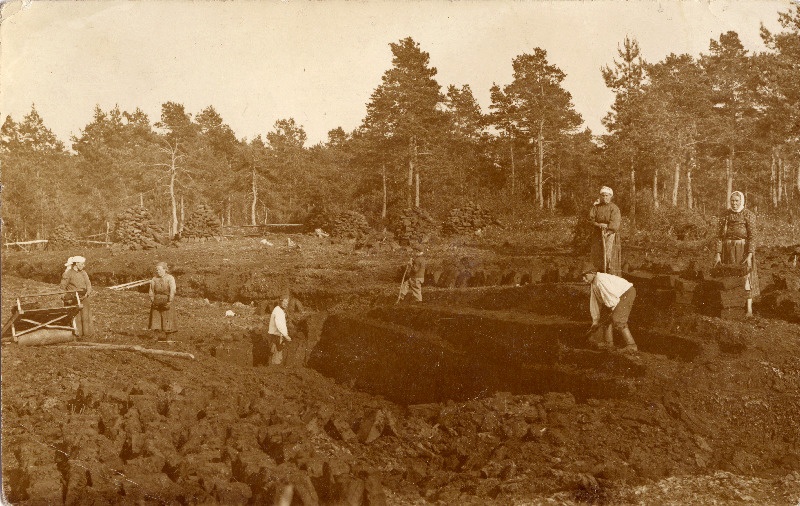 Turbalõikus Kesu rabas.