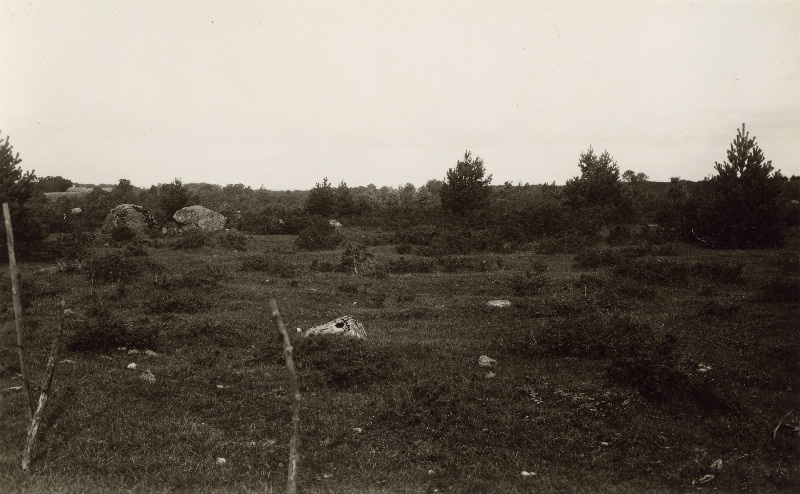 Kadakane maastik Kadapiku küla lähedal. Taebla vald.