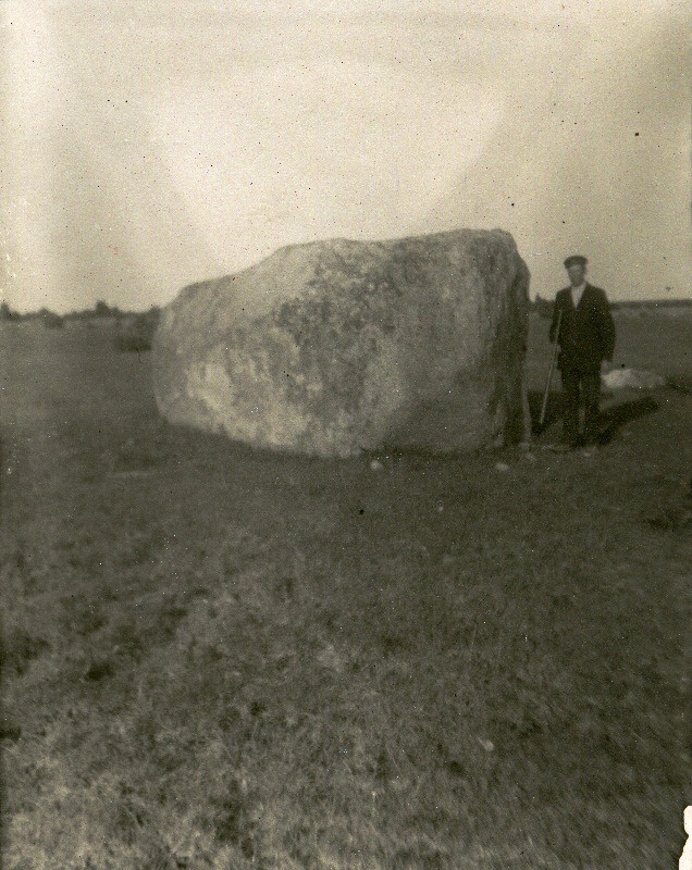 Rändrahn Emmu küla karjamaal. Veltsa vald.