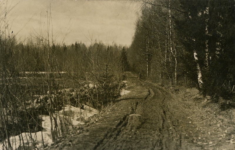 Kamara tee, 2 km Mõisakülast edela poole.