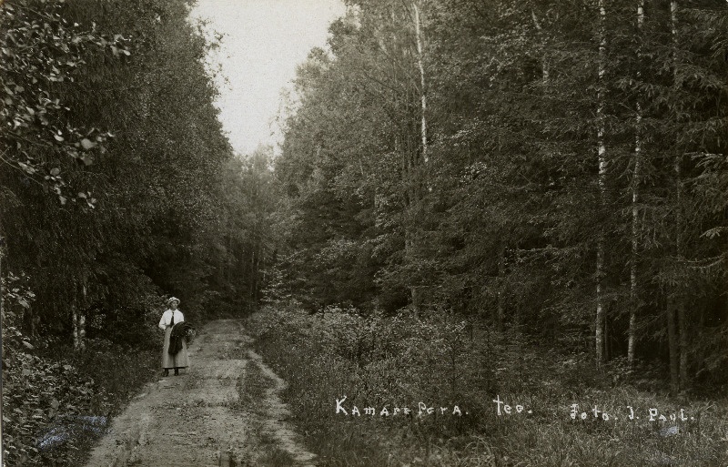 Kamara tee, 2 km Mõisakülast edela poole.