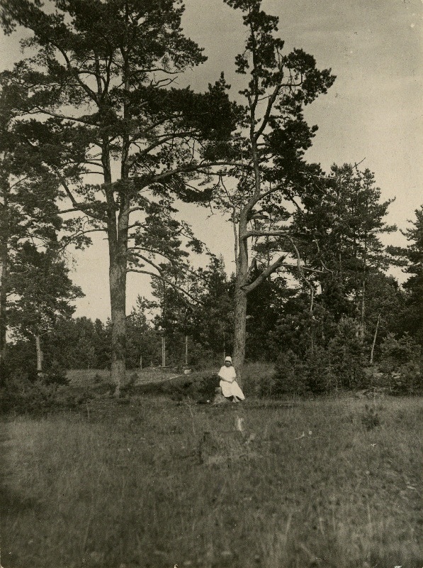 Rannamännid Häädemeeste mõisa lähedal.
