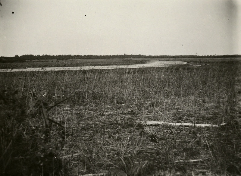 Kuivakslastud Ohtja järve.