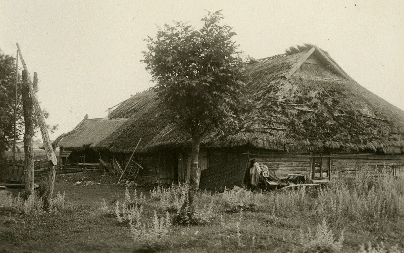 Taavi talu rehielamu koos rehealusega Võhma külas.