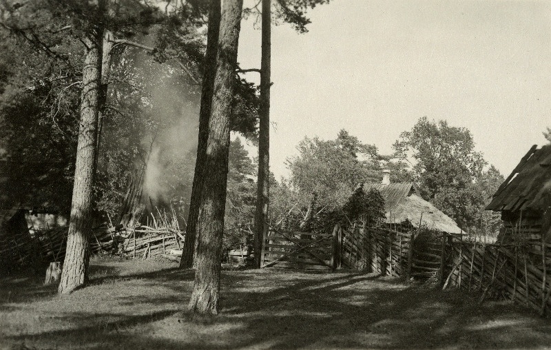 Popsitalu (endine Tämpo metsavahi koht) metsas Pidula tee ääres.