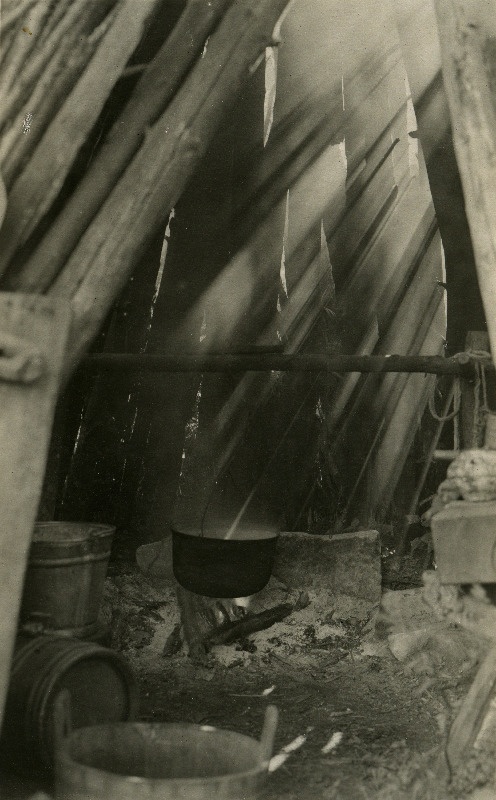 Püstkoda popsitalus (endine Tämpo metsavahi koht) Pidula tee ääres.