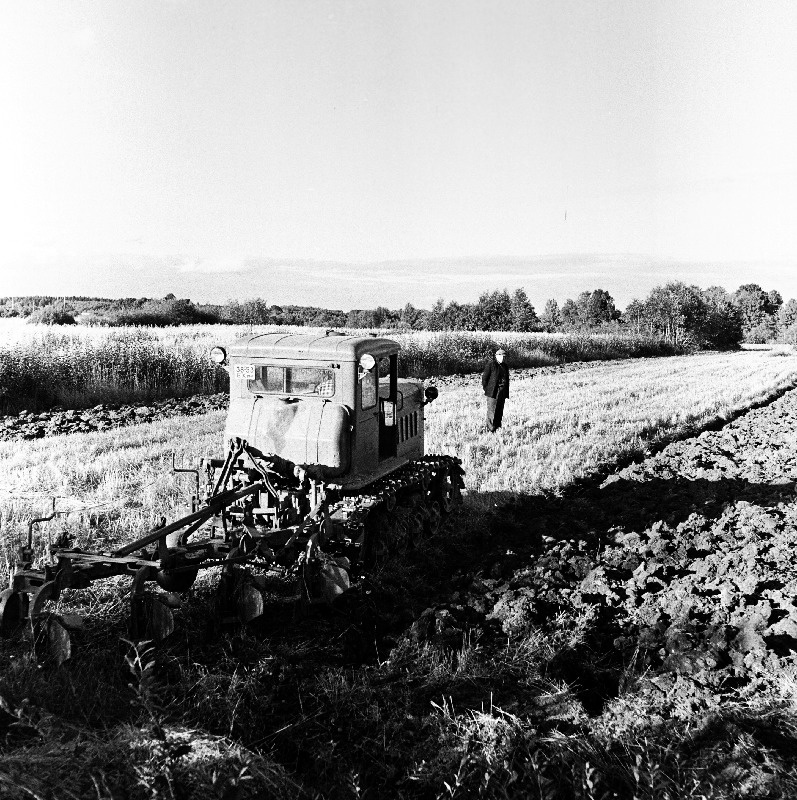 Sügiskünd “Säde” sovhoosis.