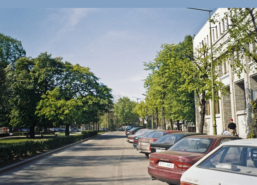 Sibulaküla, Rävala puiestee, vaade Kentmanni tänava suunas.