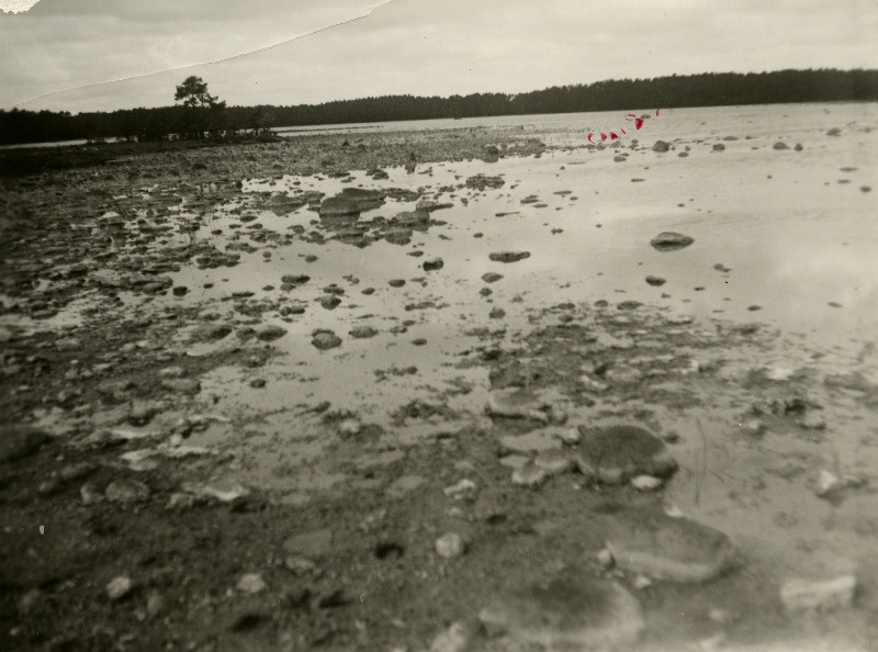 Kuusnõmme rannajärv Suur silm.