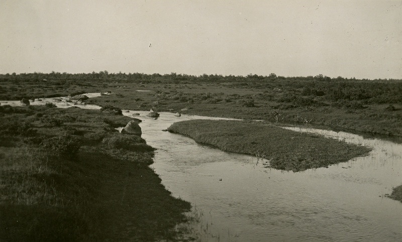 Kaarmise jõgi Kihelkonna tee ääres.