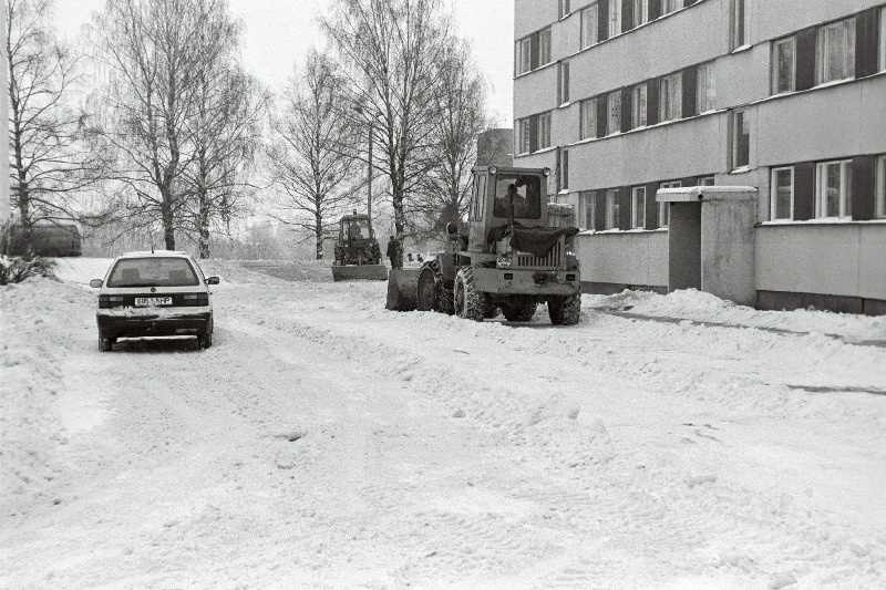 Lumekoristus Männimäel.