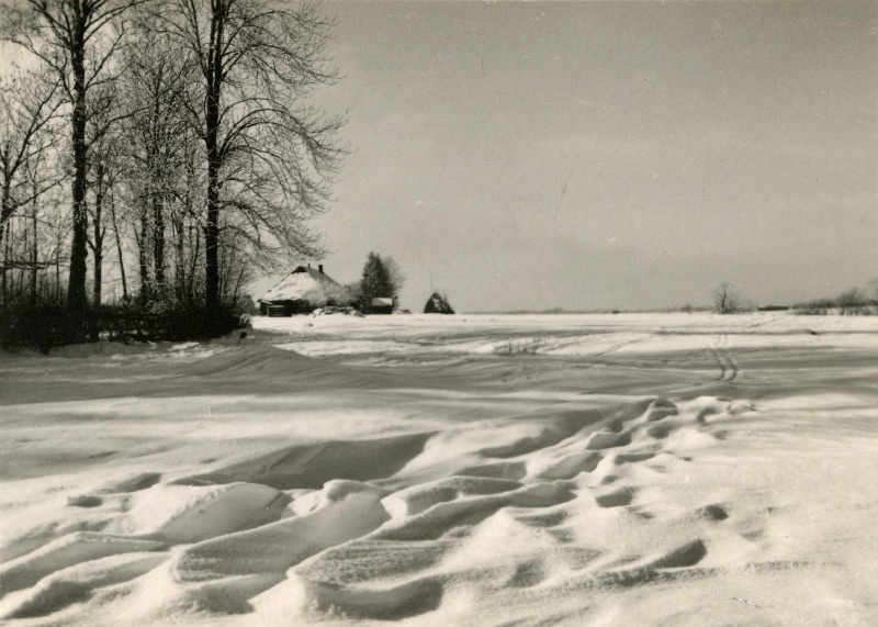 Talvine maastik Viljandi lähedal, taga Närska talu.