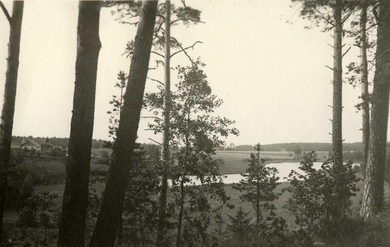 Vaade Mustjärvele. Holstre vald.