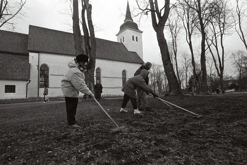 Koristuslaupäevak Viljandis.