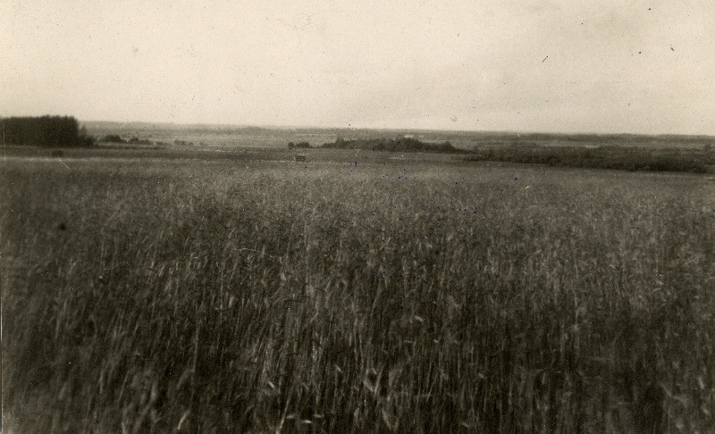 Vaade Kuiavere küla juurest kirdesse Navesti luha poole.