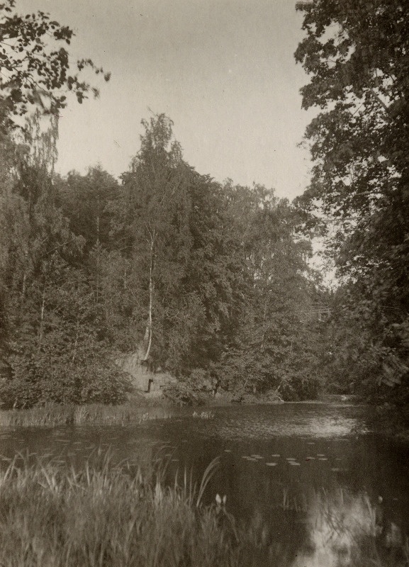Tarvastu mõisa park.