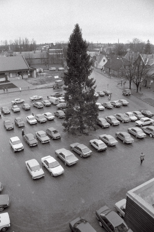 Jõulukuusk Vabaduse platsil.