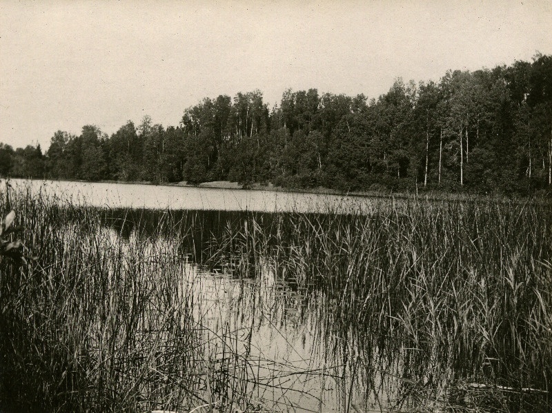 Liinjärv Truuta mõisa lähedal.
