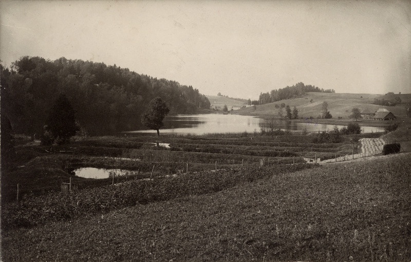 Tõugjärv Rõuge ürgorus.