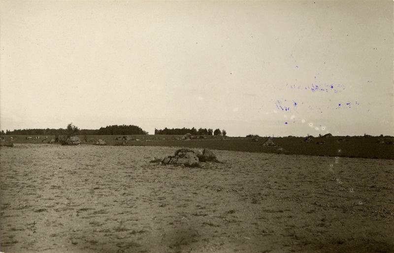 Rändrahnudega maastik Krentstali mõisa juures.